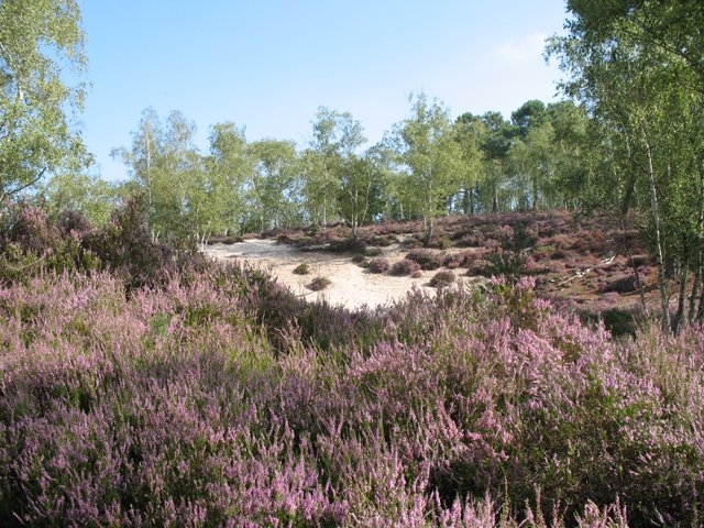 2007 08 Bois de Rochefort 26